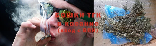 spice Инсар