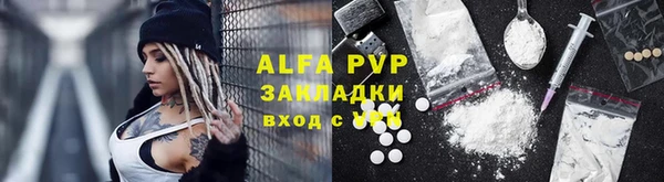 spice Инсар