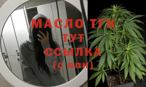 spice Инсар