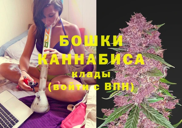 мяу мяу кристалл Иннополис