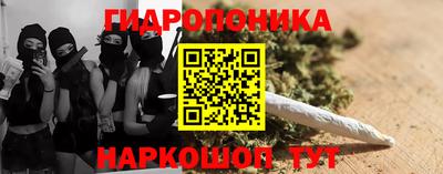 прущие крисы Гатчина