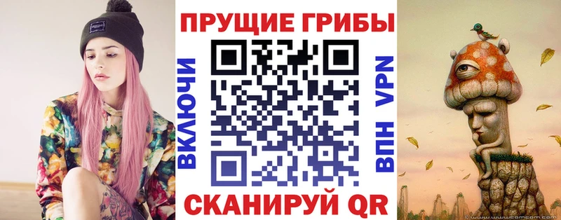 Псилоцибиновые грибы MAGIC MUSHROOMS  купить  цена  Димитровград 