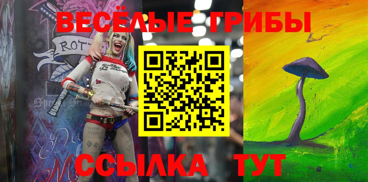 Псилоцибиновые грибы мухоморы  Псилоцибиновые грибы Psilocybe  Димитровград 