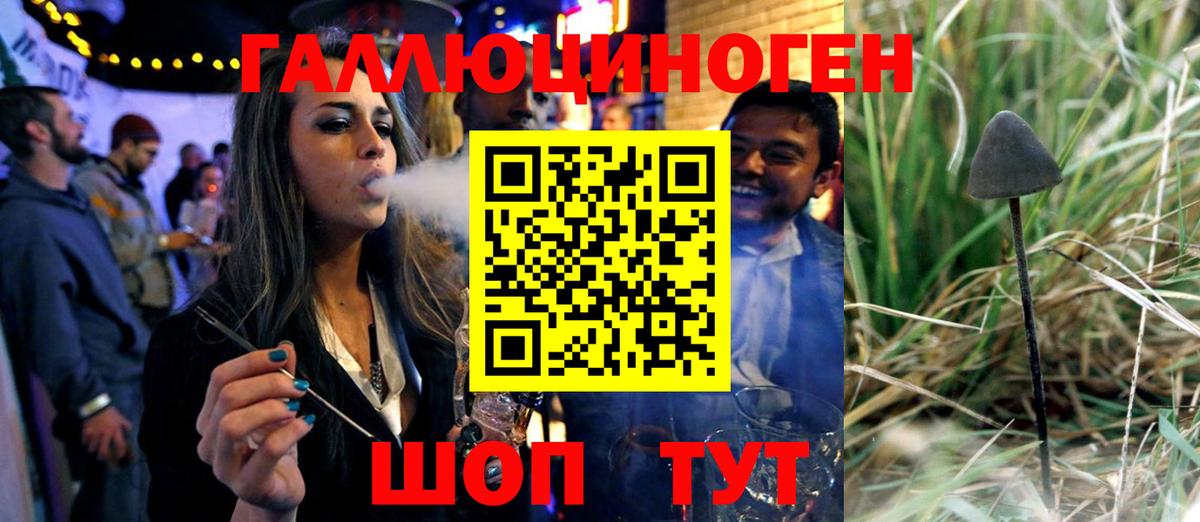 Галлюциногенные грибы Psilocybine cubensis  Псилоцибиновые грибы Magic Shrooms  Димитровград  Вход с VPN 