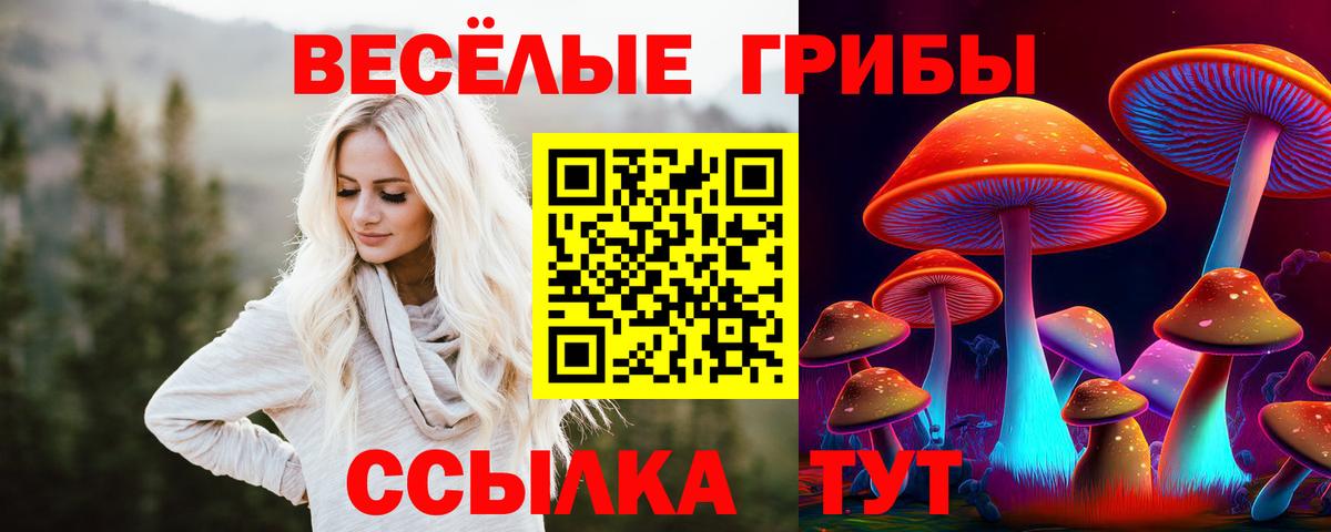 Псилоцибиновые грибы Димитровград